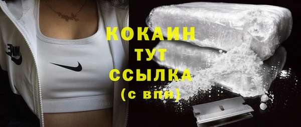 шишки Абинск