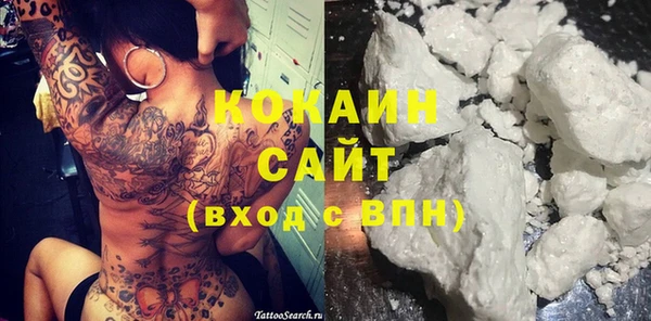 шишки Абинск
